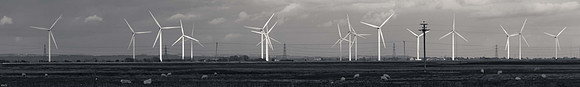 The dungeness  collection-2