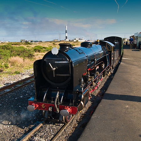 Dungeness & Camber-2