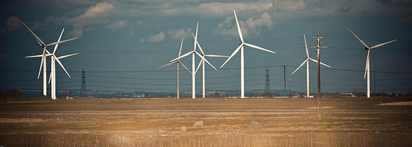 The dungeness  collection-4