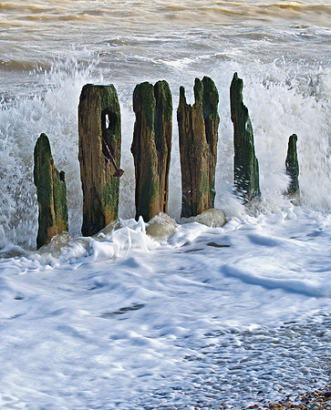 Dungeness & Camber-1