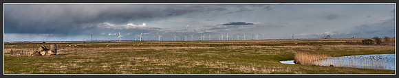 Dungeness & Camber-1