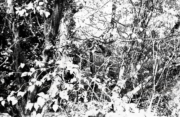RWCS Glyn Pits--6