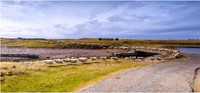 Scotland landscapes-29
