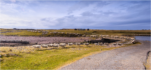 Scotland landscapes-29