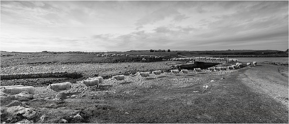 Scotland landscapes-30