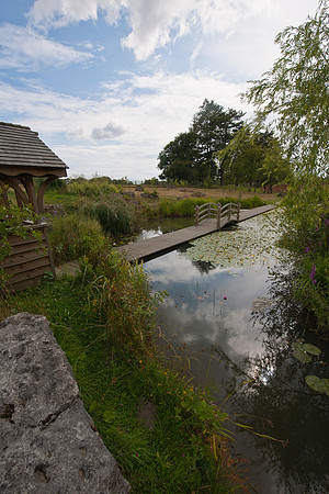 Whitley Ridge Gardens-4861