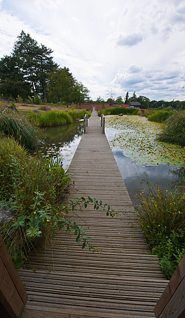 Whitley Ridge Gardens-4853