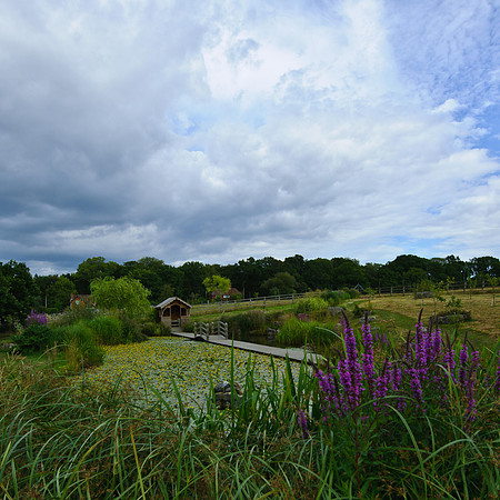 Whitley Ridge Gardens 4812