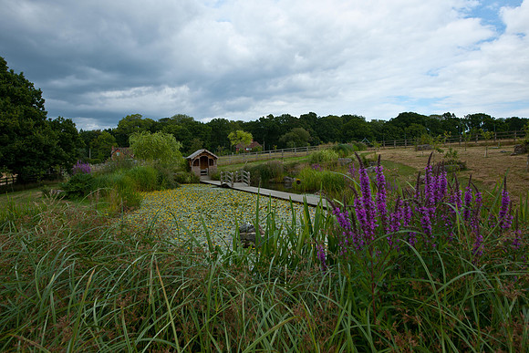 Whitley Ridge Gardens4815
