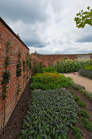 Whitley House Garden__DSC4766
