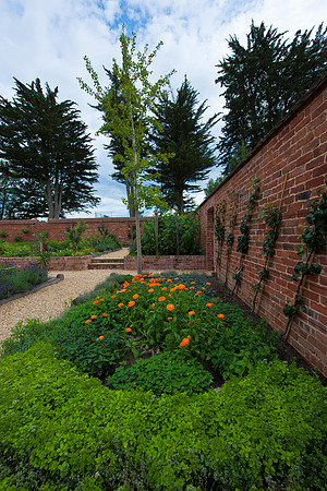 Whitley House Garden-4746