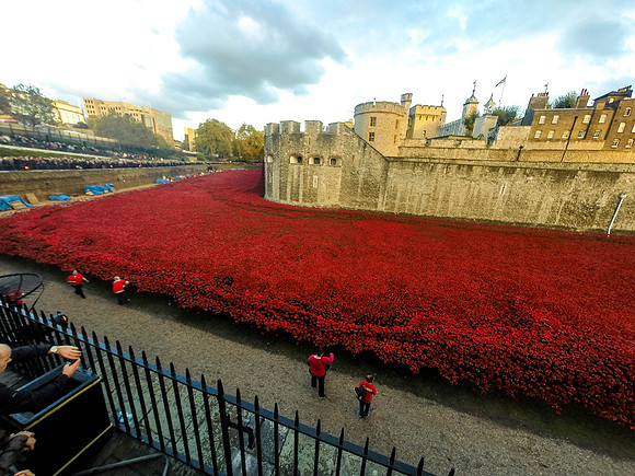 The Tower of London Poppies -0251276