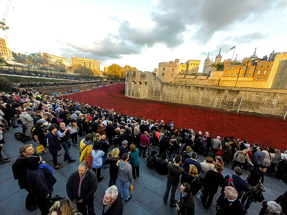 The Tower of London Poppies -0211229