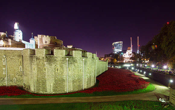 The Tower of London Poppies -3755
