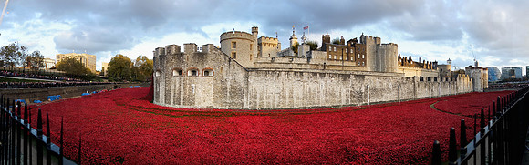 The Tower of London Poppies -3727