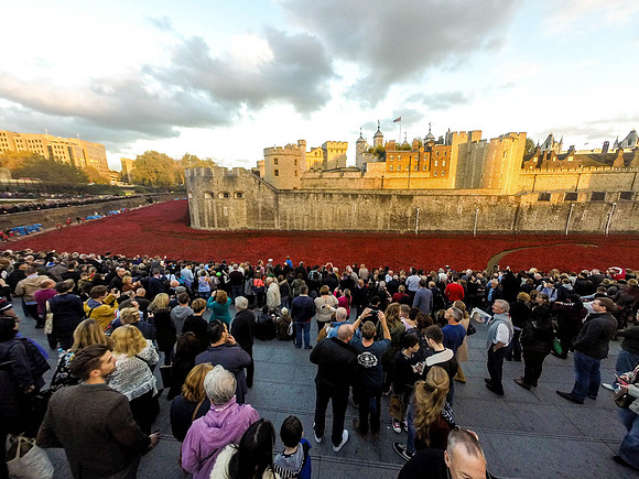 The Tower of London Poppies -0181198