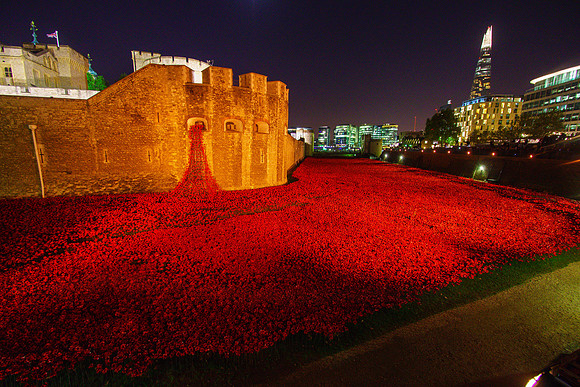The Tower of London Poppies -3779
