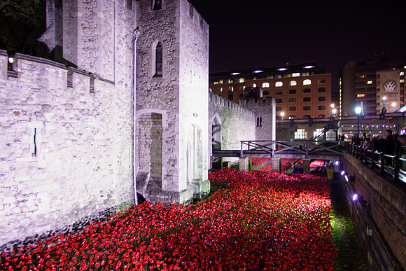 The Tower of London Poppies -3810