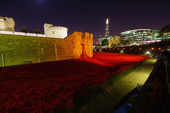 The Tower of London Poppies -3774