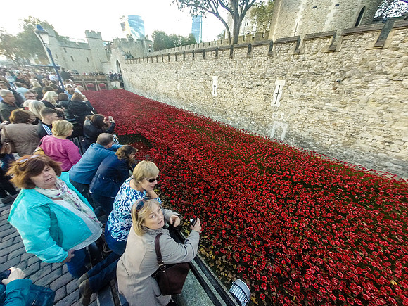The Tower of London Poppies -0111127