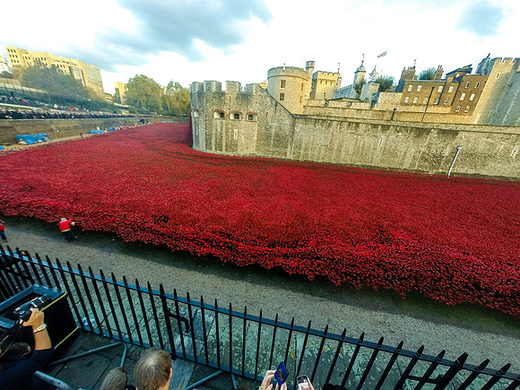 The Tower of London Poppies -1272