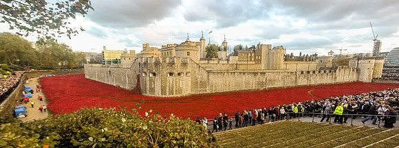 The Tower of London Poppies -0271302