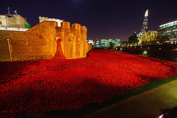 The Tower of London Poppies -3778