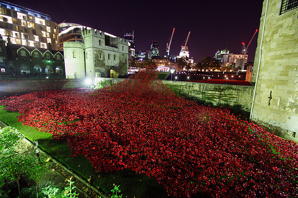 The Tower of London Poppies -3802