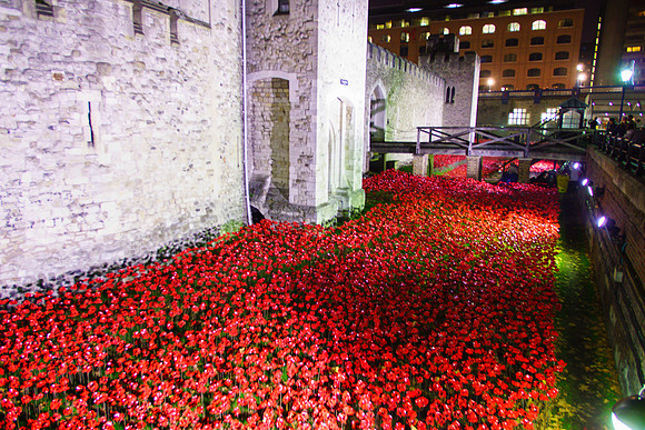 The Tower of London Poppies -3812