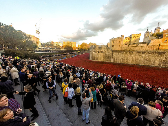 The Tower of London Poppies -0221240