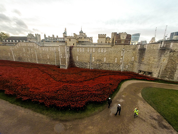 The Tower of London Poppies -0351378