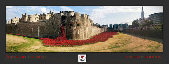 4th August 2014 The Tower of London Poppies
