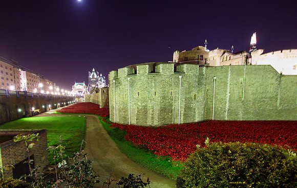 The Tower of London Poppies -3757