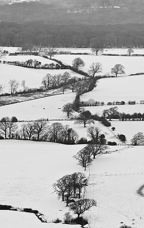 Sussex Downs under Snow
