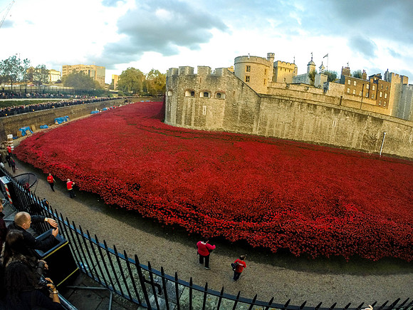 The Tower of London Poppies -0251277