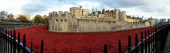 The Tower of London Poppies -3726