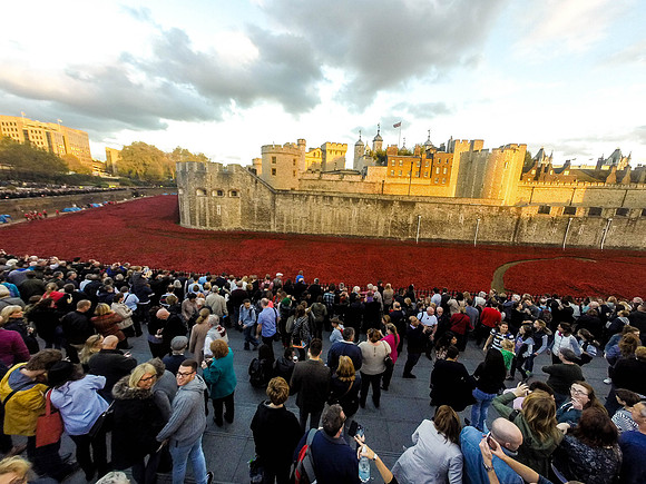 The Tower of London Poppies -0191216