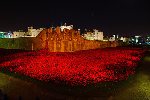 The Tower of London Poppies -3789