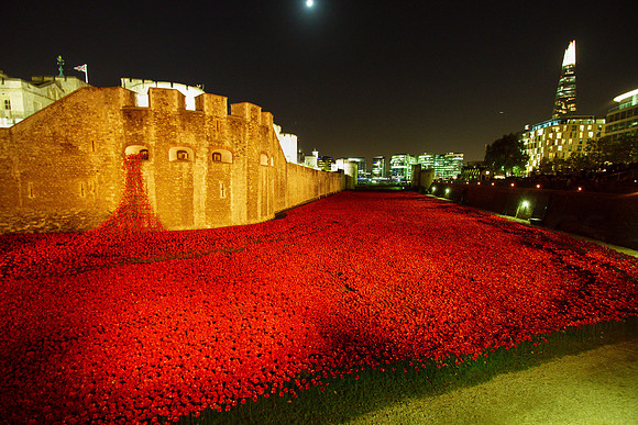 The Tower of London Poppies -3782