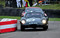 RWCS _Goodwood RV 2009-1-11.jpg