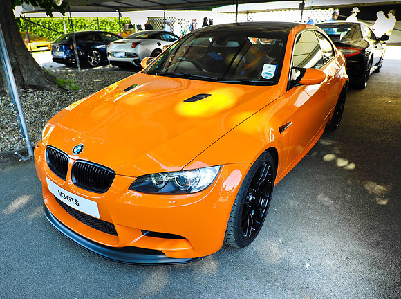 RWCS Goodwood F.O.S. 2011 (2 of 11)