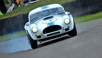 RWCS _Goodwood RV 2009-1-17.jpg