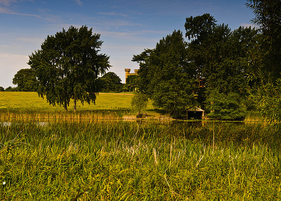 Views of Knepp Castle House
