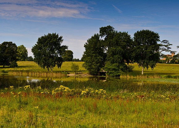 Views of Knepp Castle House