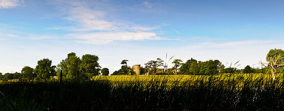 Views of Knepp Castle House