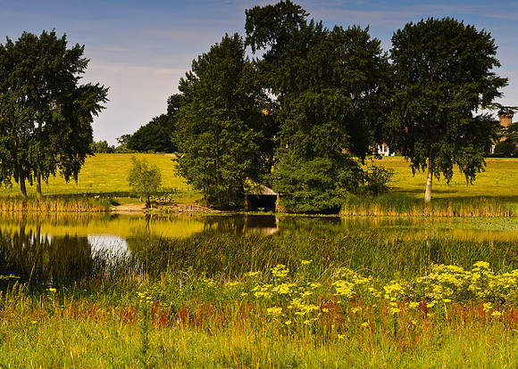 Views of Knepp Castle House