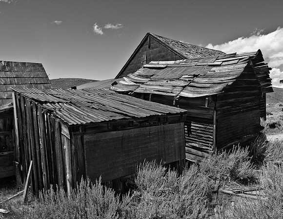 _DSC4075-1.jpg