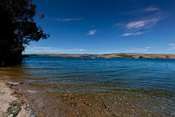 _DSC5591
