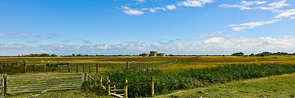 camber-5026