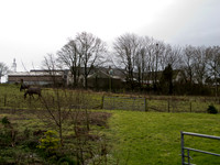 south wilson-0094